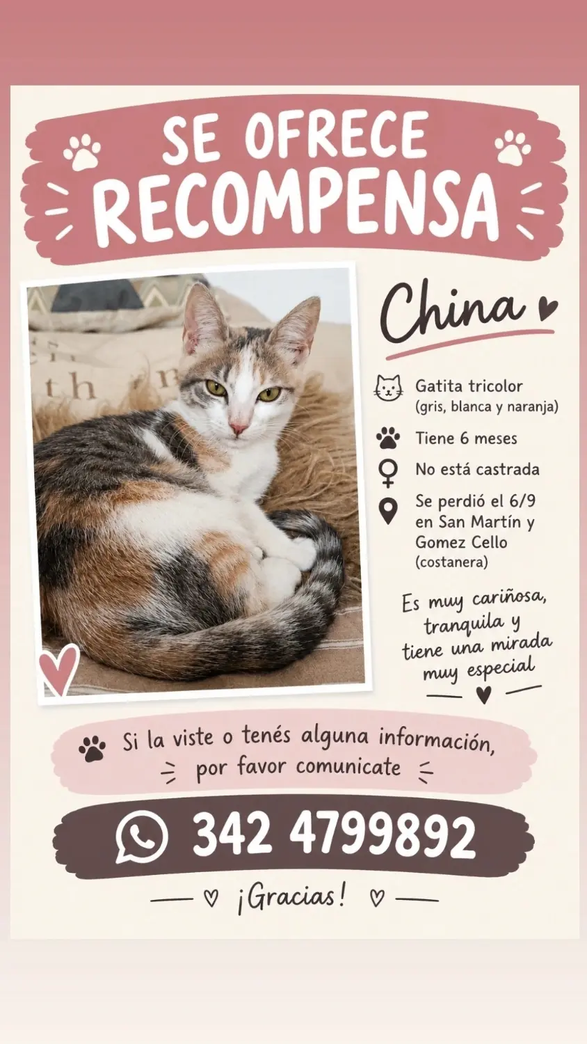 Gata tricolor China